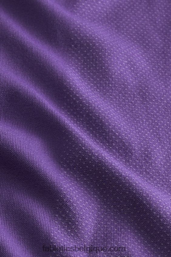 le t-shirt à manches longues de la journée d\'entraînement Hommes Fabletics 404P0T3566 suif violet