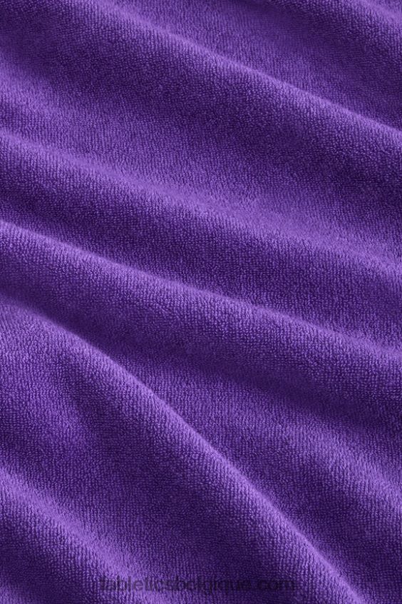 le sweat à capuche en éponge de l\'île Hommes Fabletics 404P0T3728 prune royale